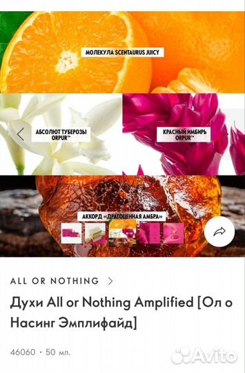 Духи Все или ничего All or Nothing Amplified