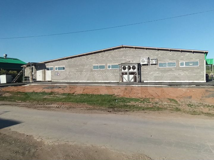 Торговая площадь, 500 м²