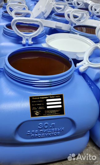 Кедровая живица оптом