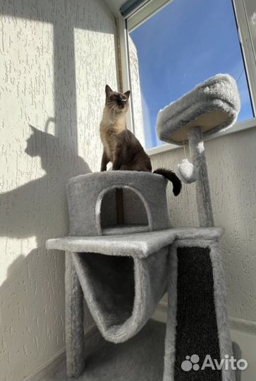 Домик для кошки с когтеточкой и лежанкой
