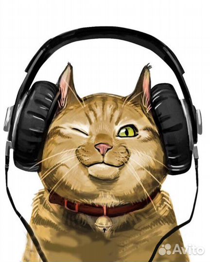 Картина по номерам новая