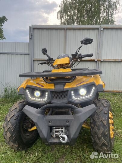 Avantis hunter 200 big basic