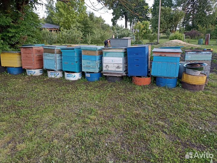 Ульи для пчел
