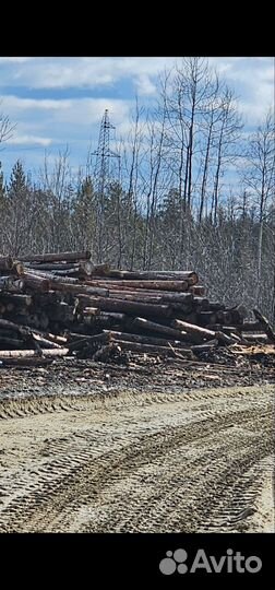 Неделовая древесина