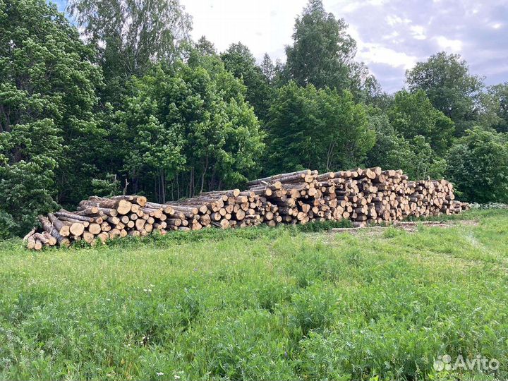 Дрова