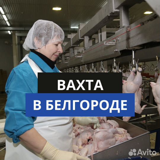 Белгород. Вахта фасовщиком на производстве птицы