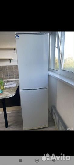 Холодильники Атлант Дэу
