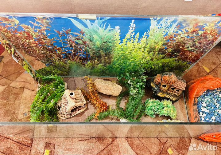 Аквариум