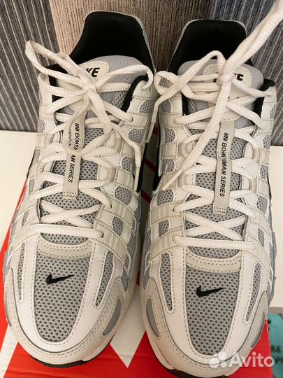 Nikep6000 Platinum Tint