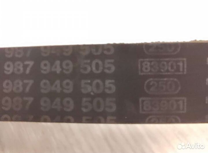 Ремень грм ford focus 2