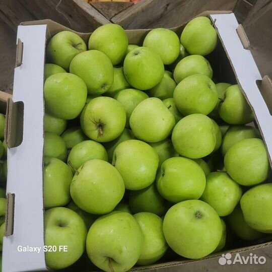 Яблоки оптом