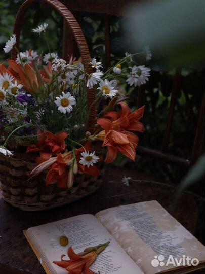 Услуги фотографа