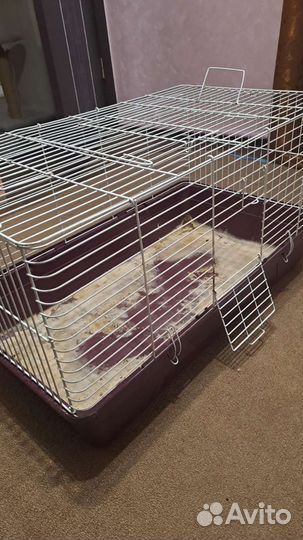Клетка для кролика большая