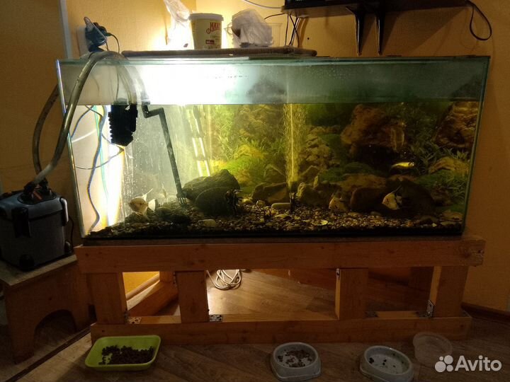 Аквариум продам