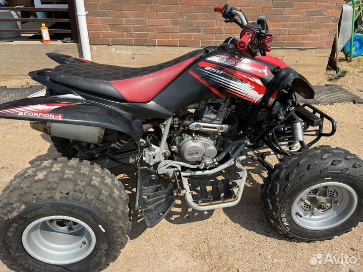 Scorpion 250