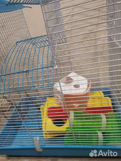 Дом для хомяков