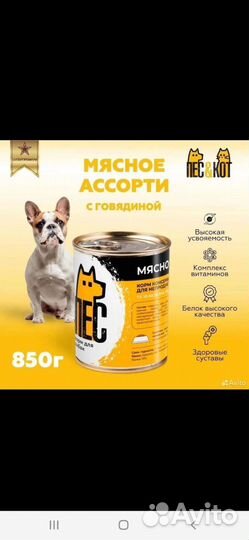 Влажный корм для собак и кошек