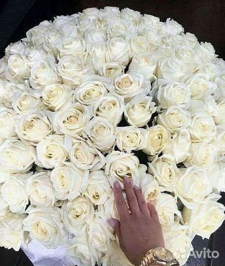 Розы Цветы Букеты 25 151 201 101 301 501 опт