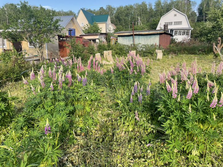 Участок 6 сот. (СНТ, ДНП)