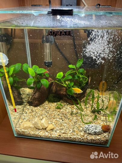 Аквариум