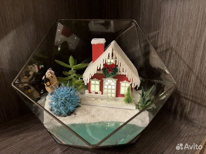 Флорариум суккуленты