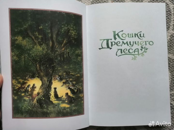 Кошки дремучего леса