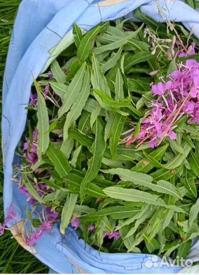 Иван чай микс с травами