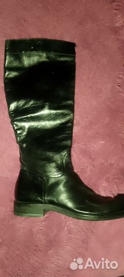 Carlo pazolini сапоги