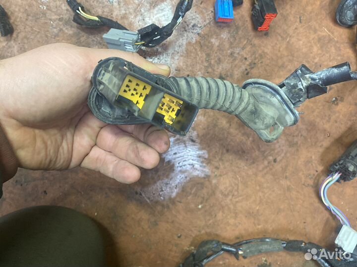 Фокус 2 проводка двери