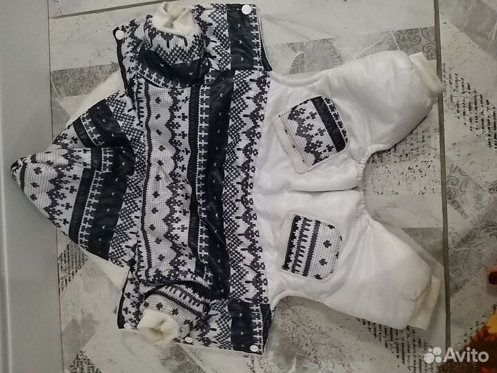 Костюм для собаки