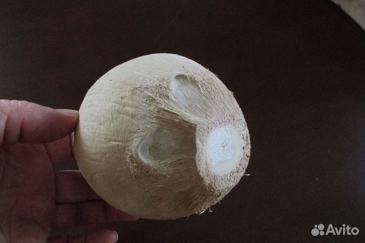 Вазочка из кокосового ореха, Таиланд