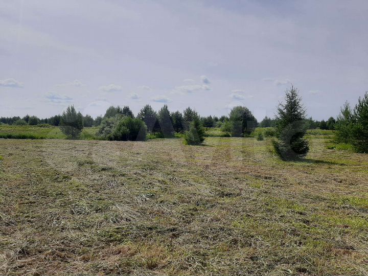 Участок 51 сот. (ИЖС)