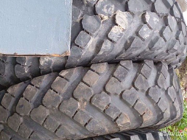 Шина. газ 66