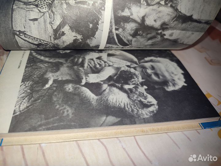 Возвращение в Африку. Д. Горюнов. 1983 год