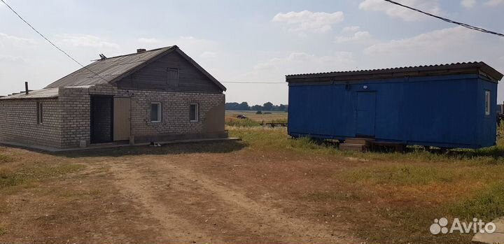 Животноводческая ферма