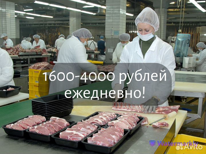 Фасовщик с ежедневной оплатой