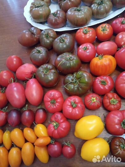 Семена томатов (40 сортов) часть 2