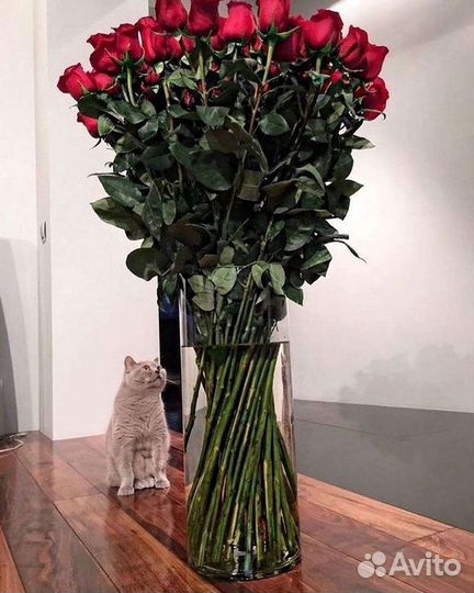 Высокие розы Гигантские розы Доставка цветов