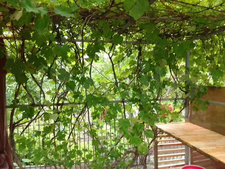 Участок 10,22 га (ИЖС)