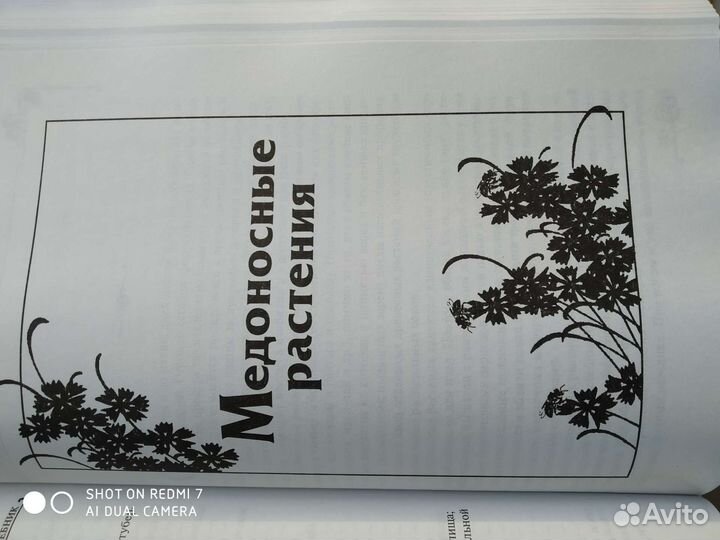 Большой медовый лечебник. А Синяков. М. 2001