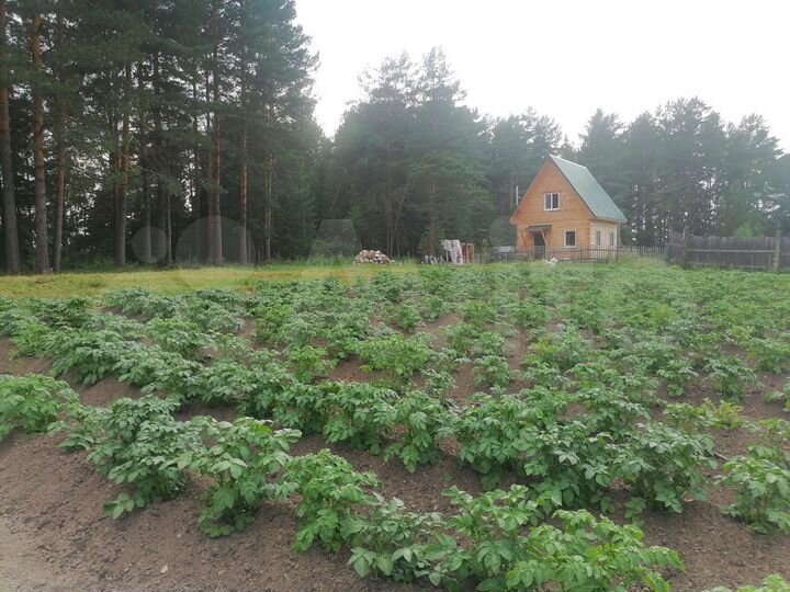 Участок 10 сот. (ИЖС)