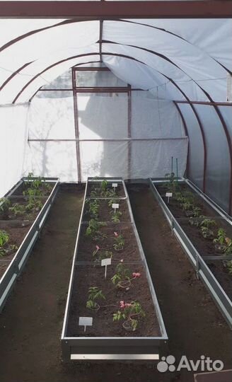 Теплица Прямостенная 3 на 6м с поликарбонатом 4мм