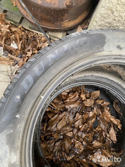 Dunlop SP Winter Sport 4D 255/50 R19