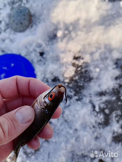 Крючки щучьи для жерлиц VMC (Франция)