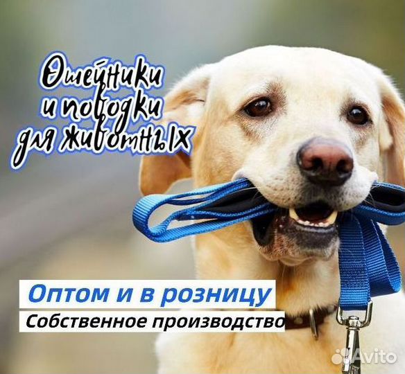 Ошейники и поводки для собак оптом и в розницу