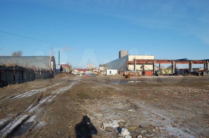 Участок 50 сот. (промназначения)