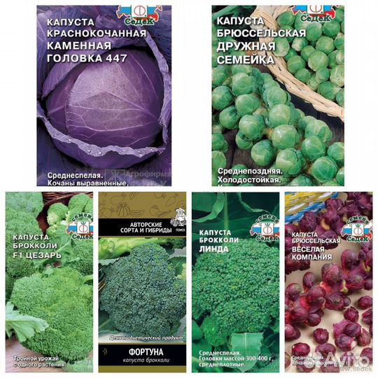 Семена капусты 35 сортов Бесплатная доставка