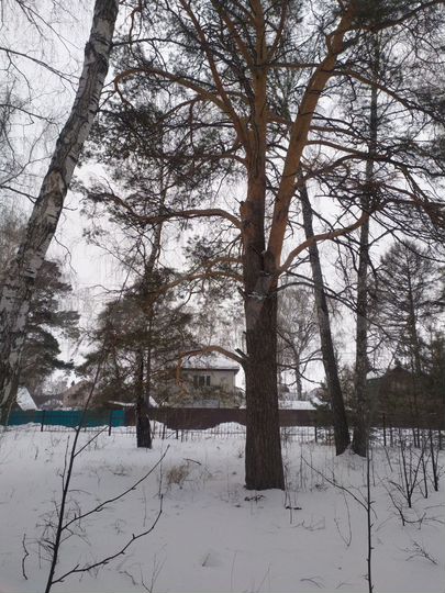 Дом 123 м² на участке 6,3 сот.