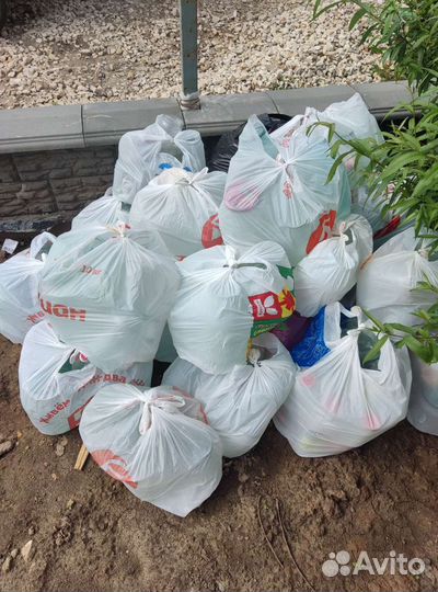 Отдам стеклянные банки