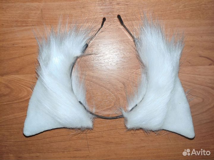 Ушки лисы, кошки